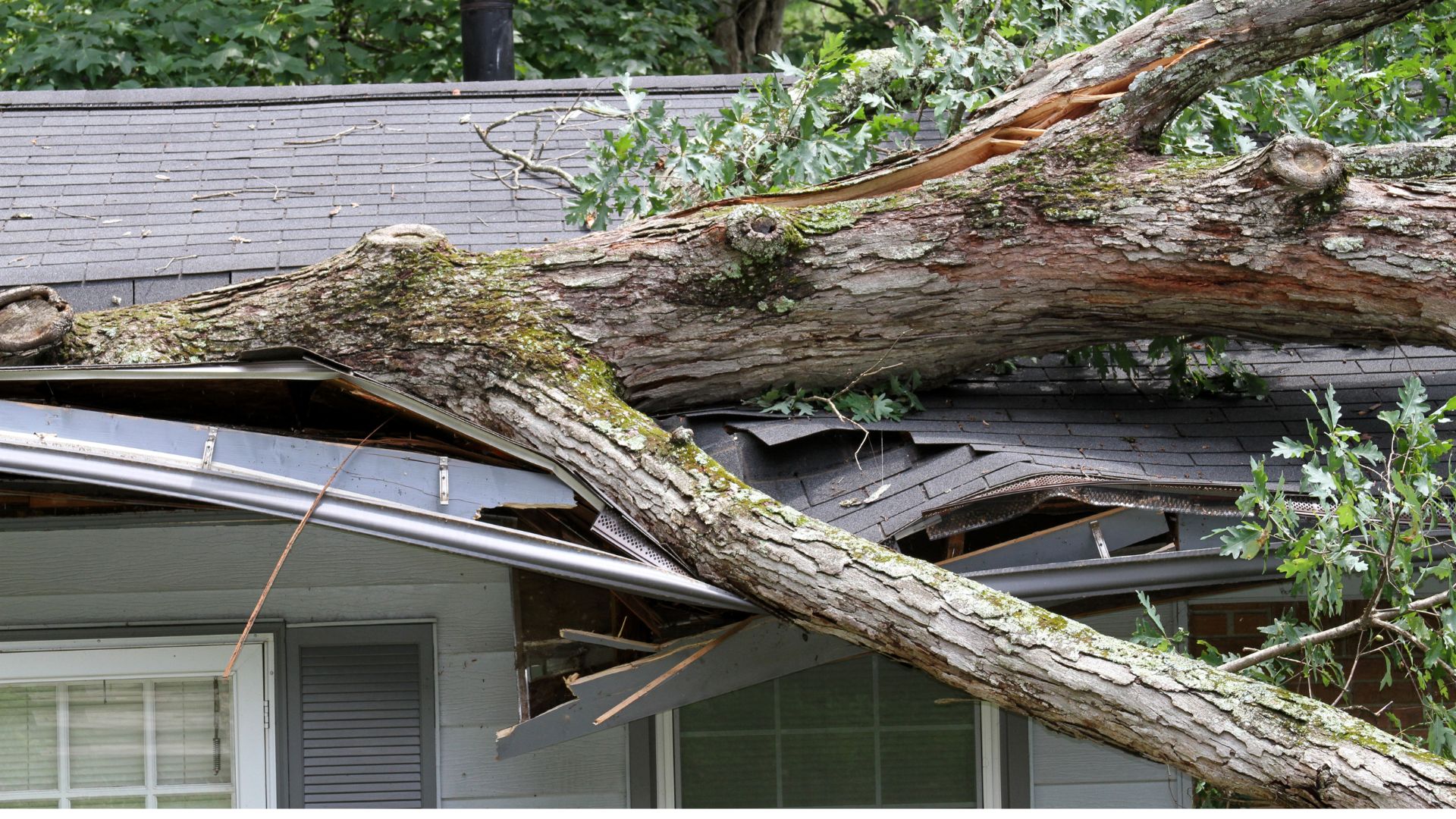 Storm damage to a house that needs a roof replacement.