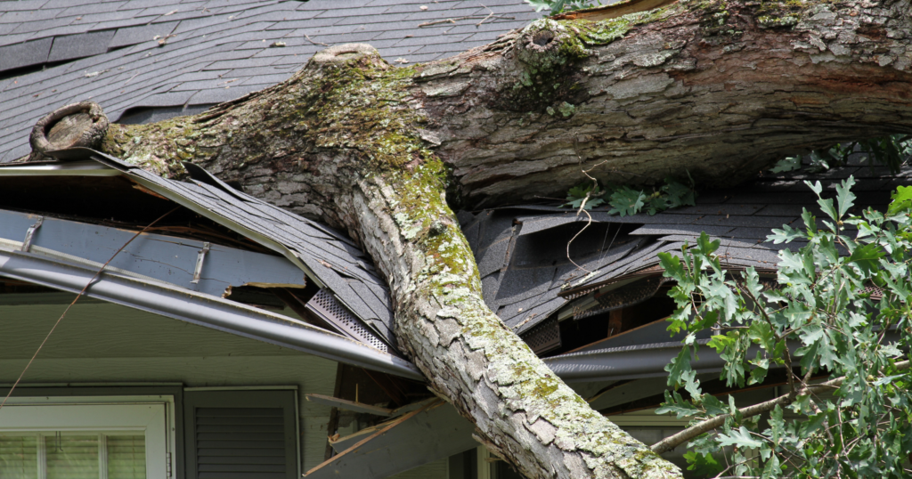 summer-roof-damage